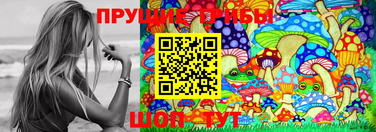 Галлюциногенные грибы мухоморы  Вход с VPN  Псилоцибиновые грибы Cubensis  Чернушка 