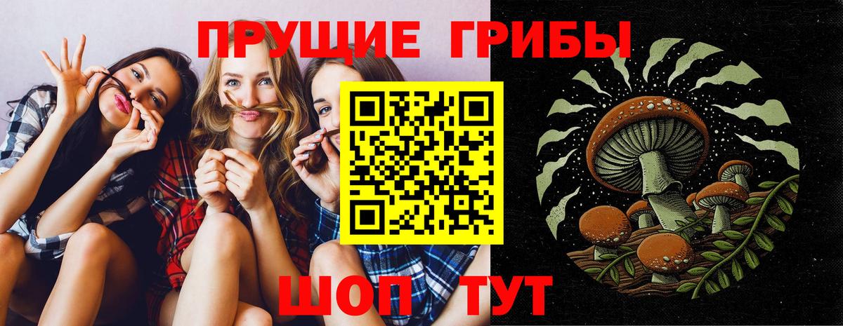 Галлюциногенные грибы MAGIC MUSHROOMS Чернушка